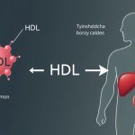 Struktura cząsteczki cholesterolu HDL i jej funkcja w organizmie